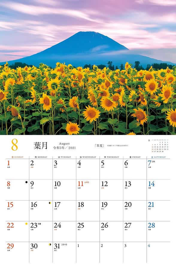 8月