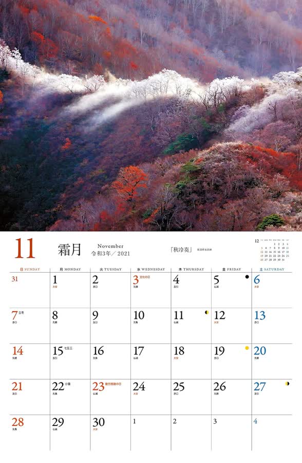 11月