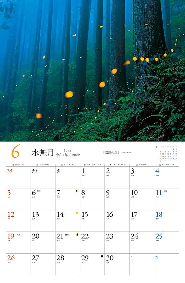 6月