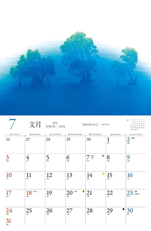 7月