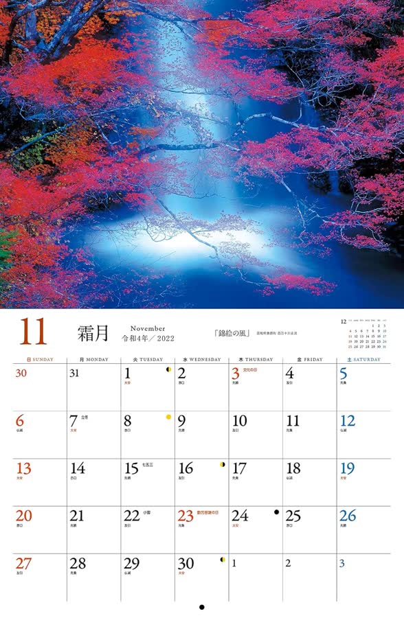 11月
