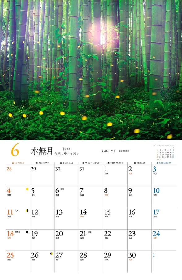 6月