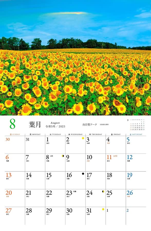 8月