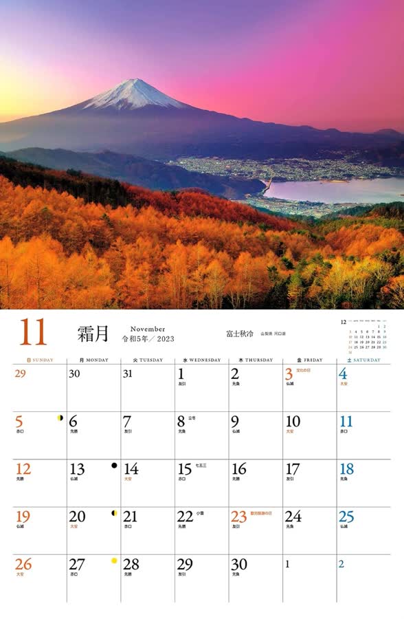 11月