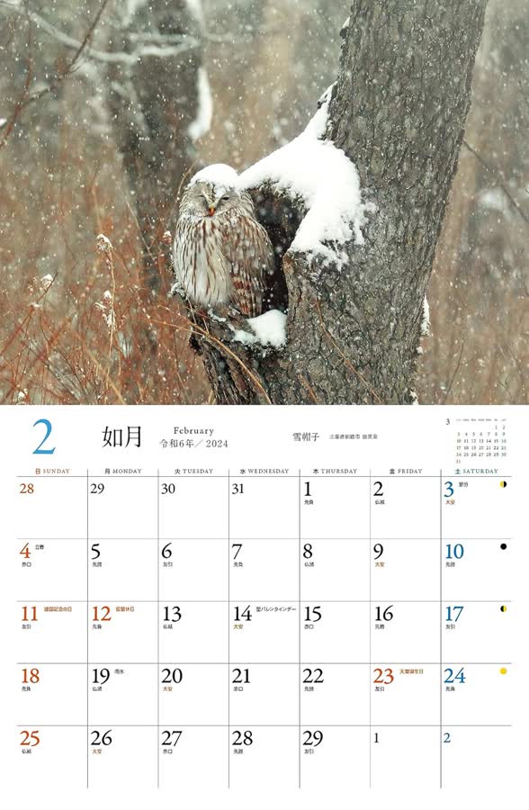 2月