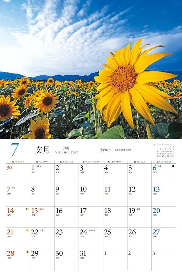 7月