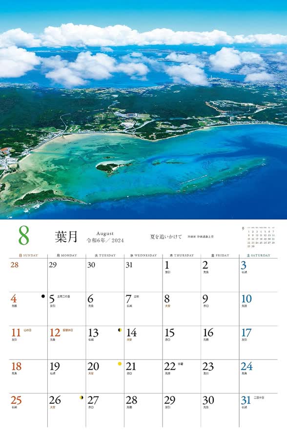 8月