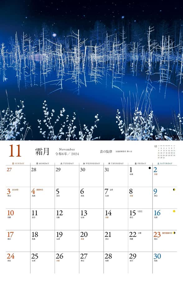 11月