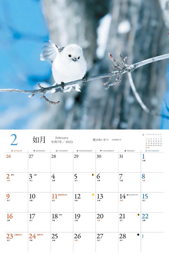 2月