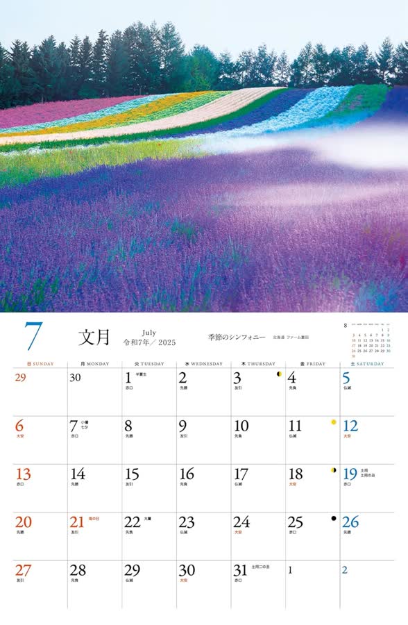 7月