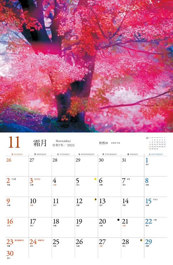 11月