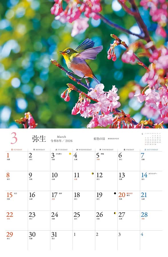 3月