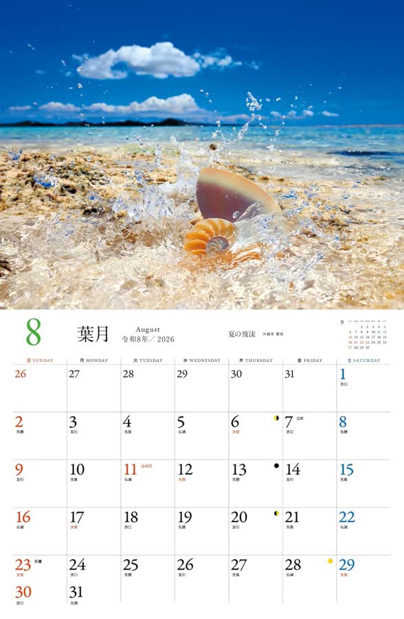 8月