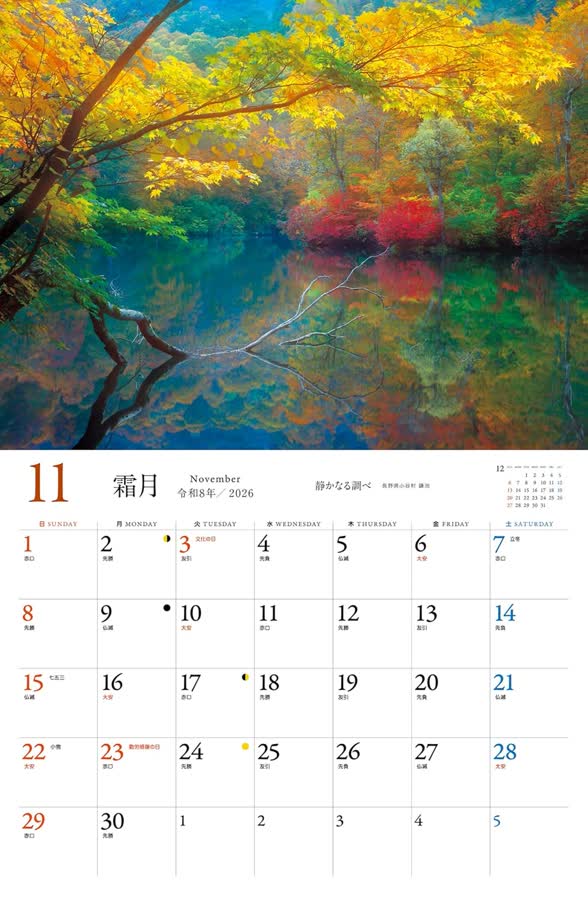 11月