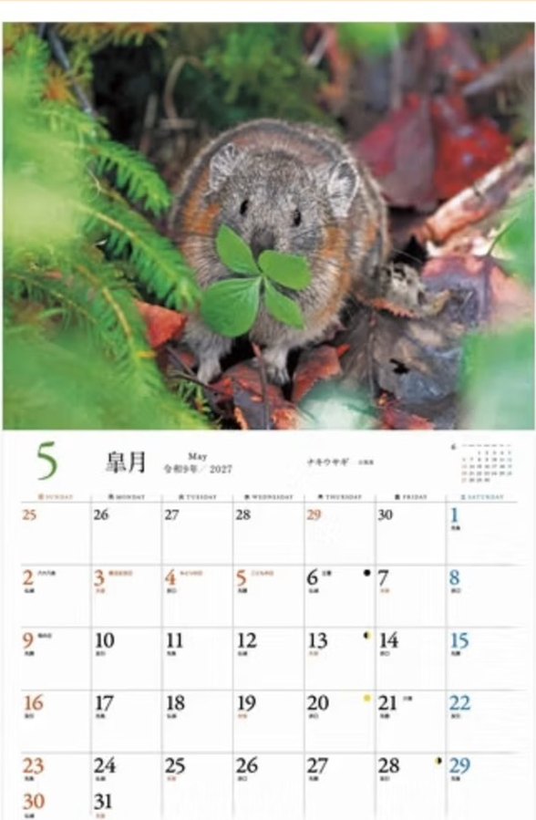 5月