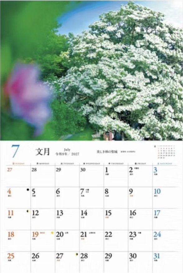 7月