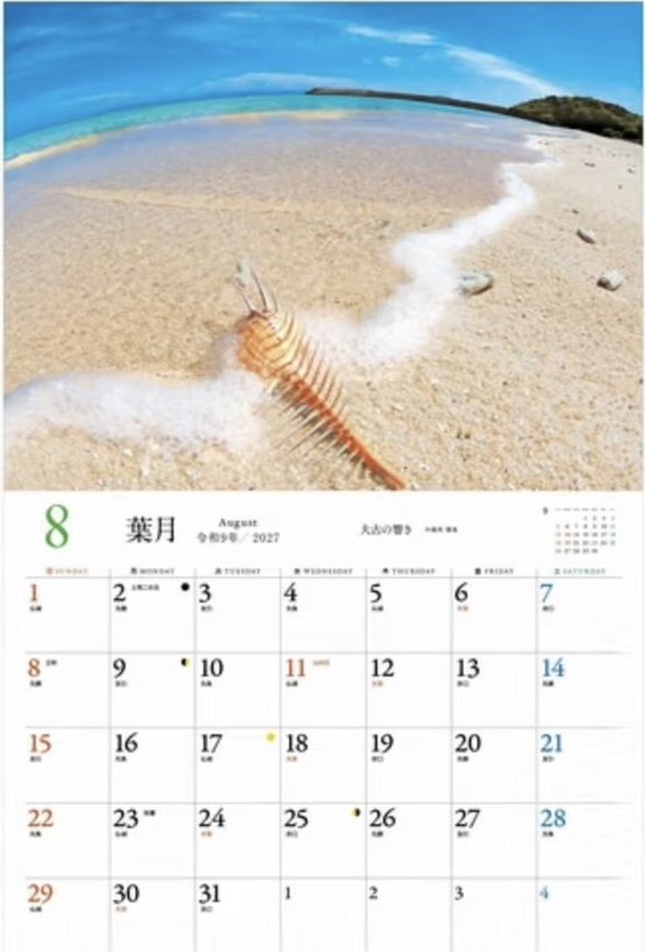 8月