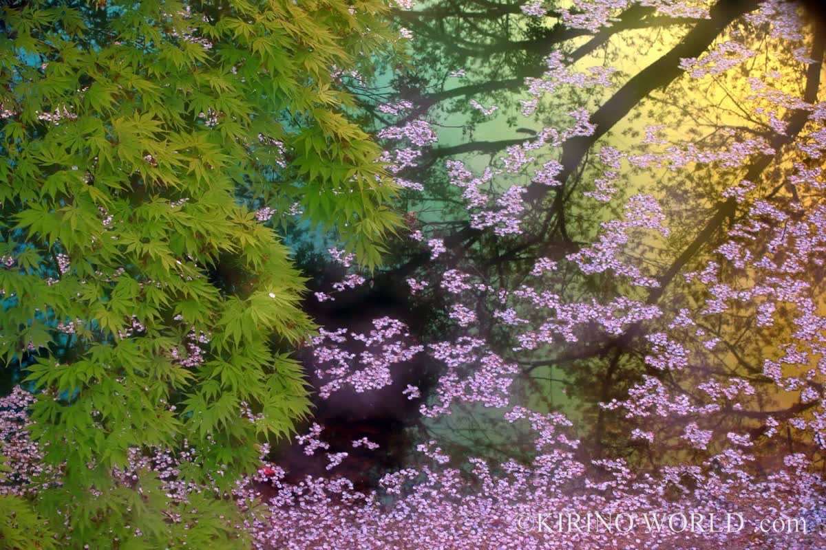 万葉の宴