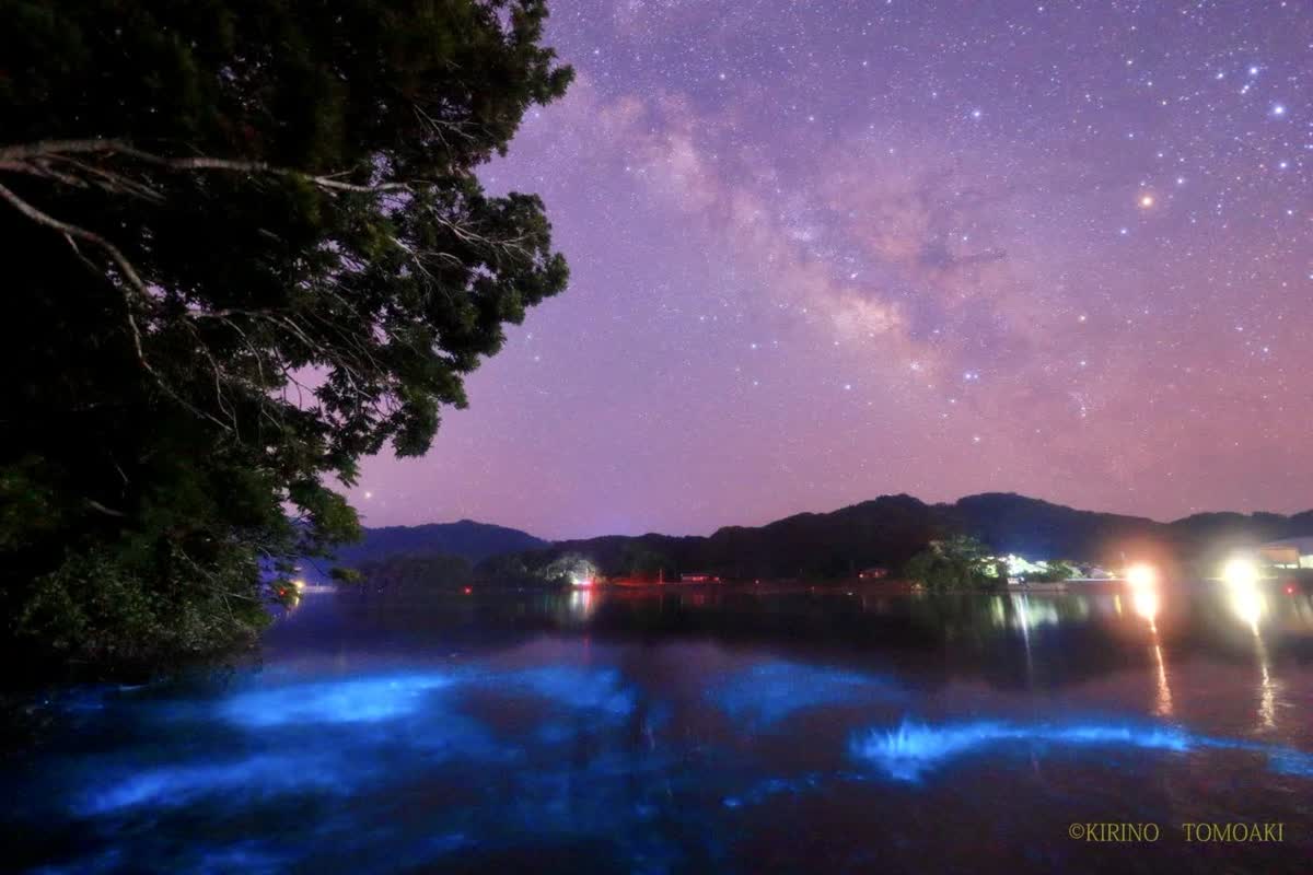 千億の星、一瞬の碧（あお）