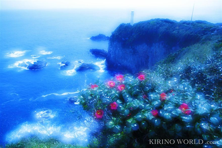 Cape Ashizuri