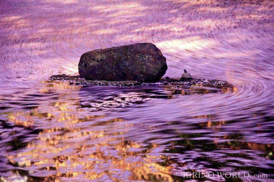 Water Mirror