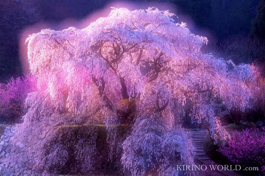 Spring Impression